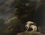 George Stubbs A Lion Attacking a Horse Sweden oil painting artist